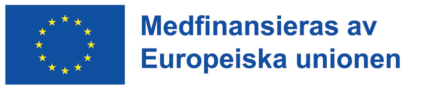 EU-loggan med texten Medfinansieras av Europeiska unionen
