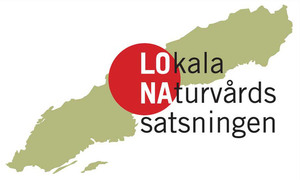 LONAs logotyp