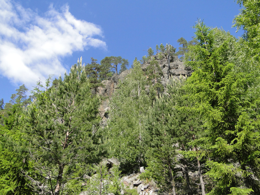 Branta klippavsatser på Fuskåsbergets sydsida där det växer träd och buskar. Himlen är blå med vita moln.