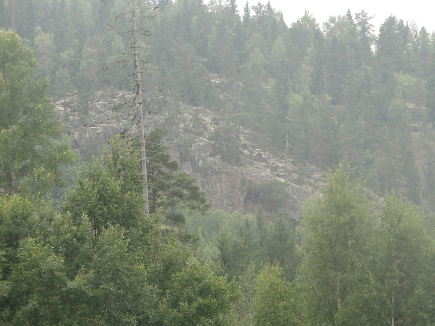 Klippstup på bergets sydöstra sida med tät skog.